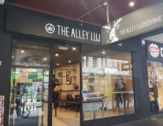 The Alley – Elizabeth Street, Melbourne